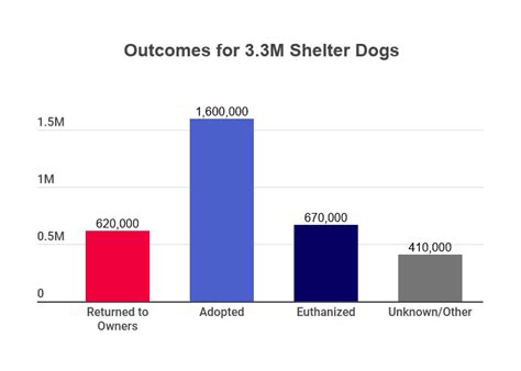 Animal Shelter Statistics [2021]: Facts & Data by Year