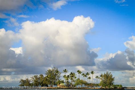 Visit to Coconut Island - This Hawaii Life