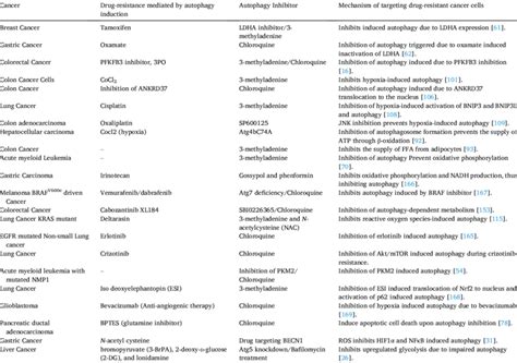 Effect of autophagy inhibitors on drug resistant cancer cells ...