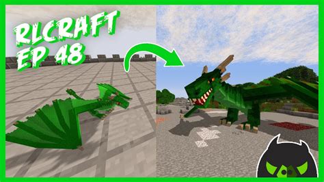 Raising My Baby Dragons to Stage 5 Dragons! | RLCraft S2 Ep: 48 - YouTube