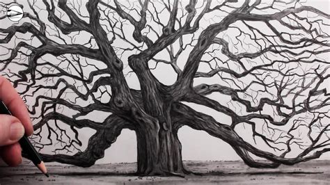 How to Draw an Old Oak Tree: Narrated Step by Step - YouTube