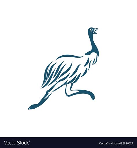 Stylized emu bird running on white background Vector Image