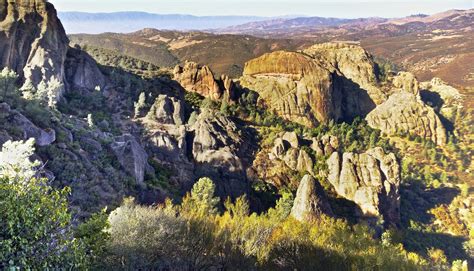 Visit The Two National Parks In Texas