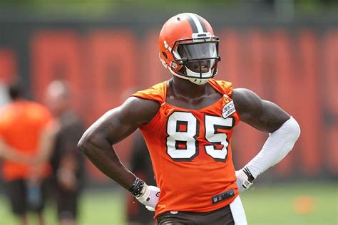 Browns Counting On Big Things From 'Freak' TE David Njoku - Steelers Depot