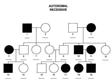 Autosomal dominant traits list - bettabrick