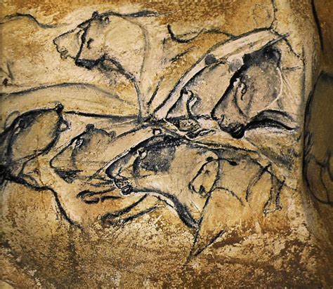 This pride of sixteen lions at Chauvet Cave in southern France was ...