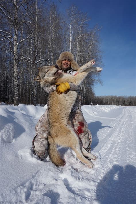 Wide North Outfitters Wolf Hunting Photo Gallery