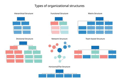 7 types of organizational structures to organize the company ...