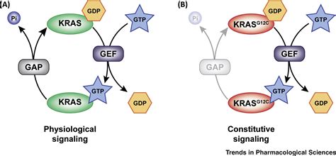 Targeting Mutant KRAS for Immunogenic Cell Death Induction: Trends in ...