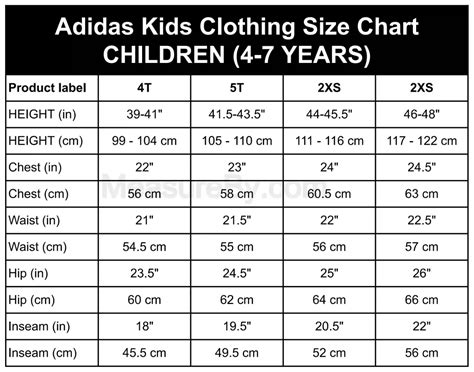 Adidas Pants Size Chart (Complete Guide for Men, Women, Kids)