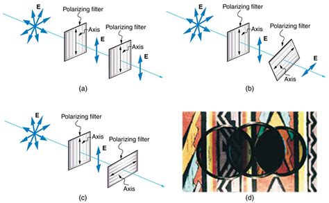 Polarization | Physics