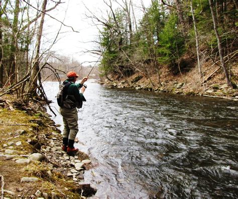 Salmon River’s Special Fly-Fishing, Catch-and-Release Areas – Oswego ...