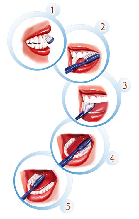 Different Methods and Steps – Proper Tooth Brushing Techniques