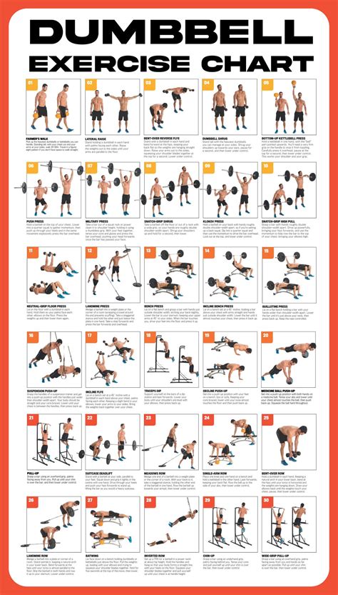 Dumbbell Exercises Chart Free Printable - FREE PRINTABLE TEMPLATES