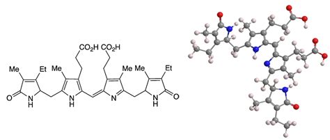 Urobilin - American Chemical Society