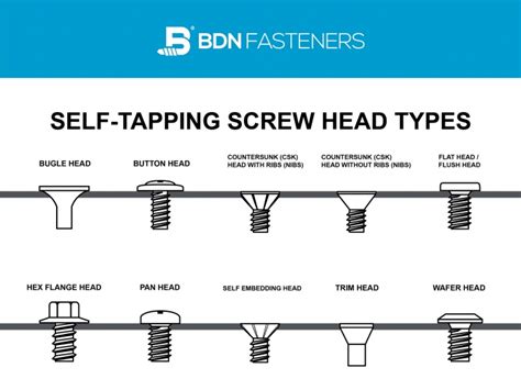 10 Different Self-Tapping screw head types | BDN Fasteners