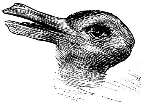 Duck or rabbit? 100-year-old optical illusion could tell you how ...