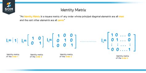 Identity matrix - Explanation & Examples