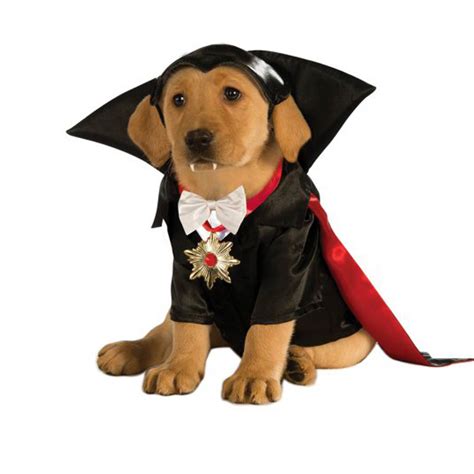 Halloween Dracula Dog Costume | BaxterBoo