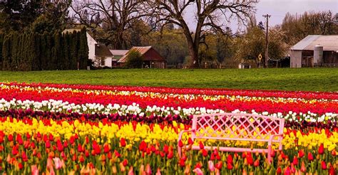 Woodburn Oregon Guide And Information | Visit Oregon