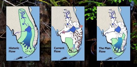 Everglades Restoration 101: History of Drainage | News ...