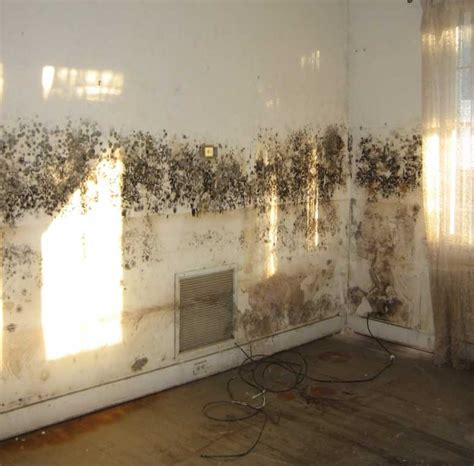 How To Prevent Mould On Walls In Bedroom - Bedroom Poster