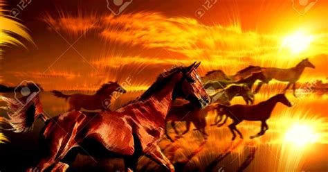 Wild Horses Galloping At Sunset | Wallpapers Gallery