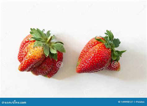 Ugly Organic Home Grown Strawberries On White Wood Background. Strange ...