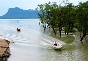 Kukup Island National Park, Johor, Malaysia