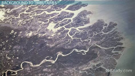 Tributary | Definition, Landforms & Examples - Lesson | Study.com