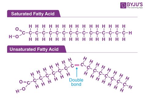 Chemical Makeup Of Fatty Acids - Mugeek Vidalondon