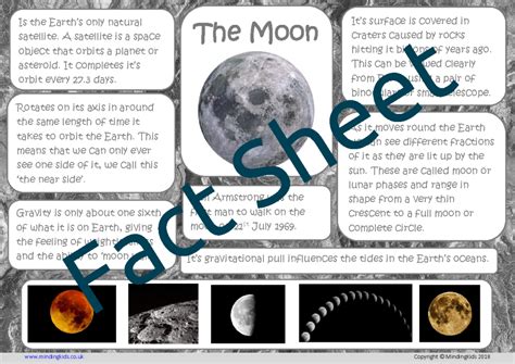 The Moon Facts - MindingKids