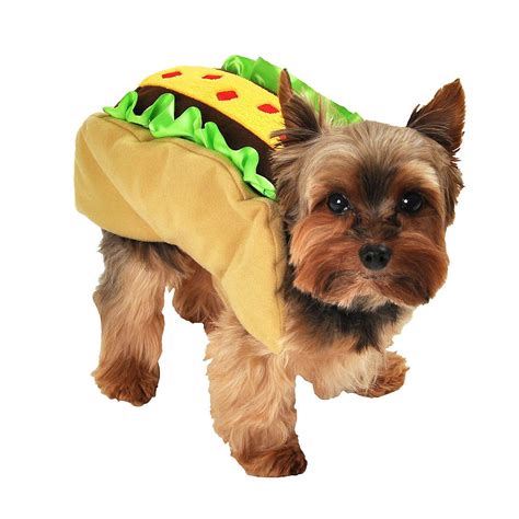 Taco Dog Costume Image #1 | Dog halloween costumes, Pet costumes, Dog ...