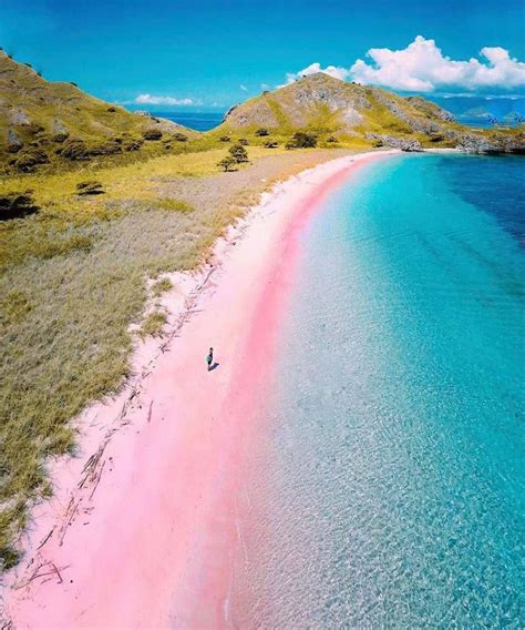 🔥 Labuan bajo pink beach, Indonesia. : r/NatureIsFuckingLit