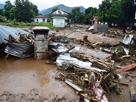 Pasca Banjir Bandang di NTT, Saatnya Menanam Pohon - Mongabay.co.id