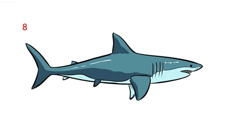 Shark Drawing Ideas How to draw a Shark Step by Step