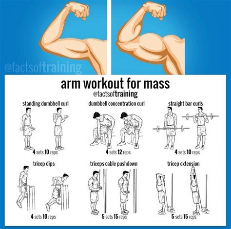 Arm Workout For Muscle Gain in 2020 | Arm workout, Bodybuilding ...