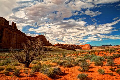 40+ Arizona Desert Wallpaper HD