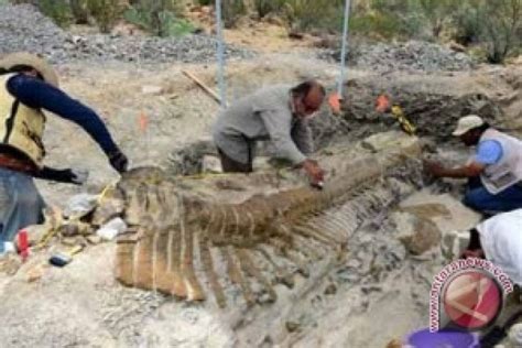 Jejak Kaki Dinosaurus Besar Ditemukan di Bolivia - ANTARA News Bangka ...