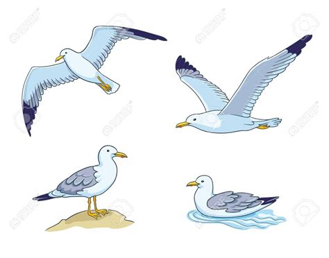 Seagulls - flying, sitting and swimming. Vector illustration. EPS8 , # ...