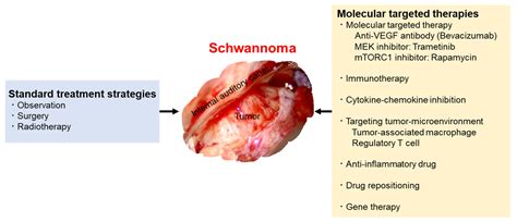 IJMS | Free Full-Text | A Critical Overview of Targeted Therapies for ...