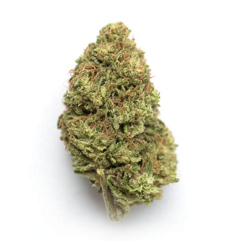 Homegrown Cannabis Co.: Black Demon OG Weed Seeds | Leafly