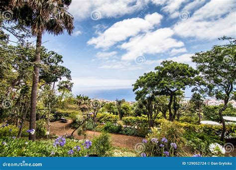 Funchal, Madeira - July, 2018. the Famous Botanical Garden in Funchal ...