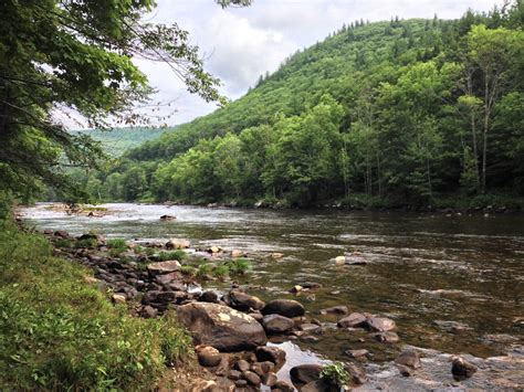 Velophoria: A Weekend at Mohawk Trail State Forest