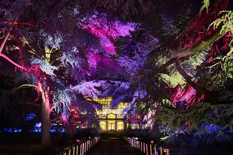 Christmas at Kew — The Royal Botanical Gardens Turned Into A Glittering ...