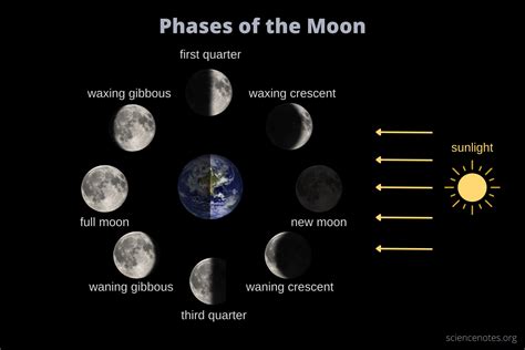 Phases of the Moon - Lunar Phases