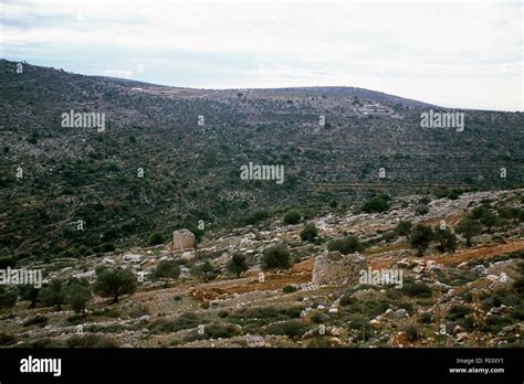 West Bank landscape near Ramallah, Palestine Stock Photo - Alamy