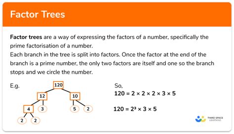 Factor Trees - GCSE Maths - Steps, Examples & Worksheet