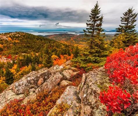 Maine Fall Foliage- 13 Spots to Enjoy Fall Colors in Maine