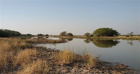 Rann of Kutch wildlife sanctuary Ahmedabad (Entry Fee, Timings, Safari ...